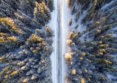 aerial view of snow covered road through treed forest