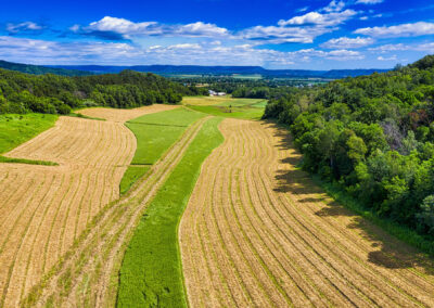 aerial view of freshly cut field